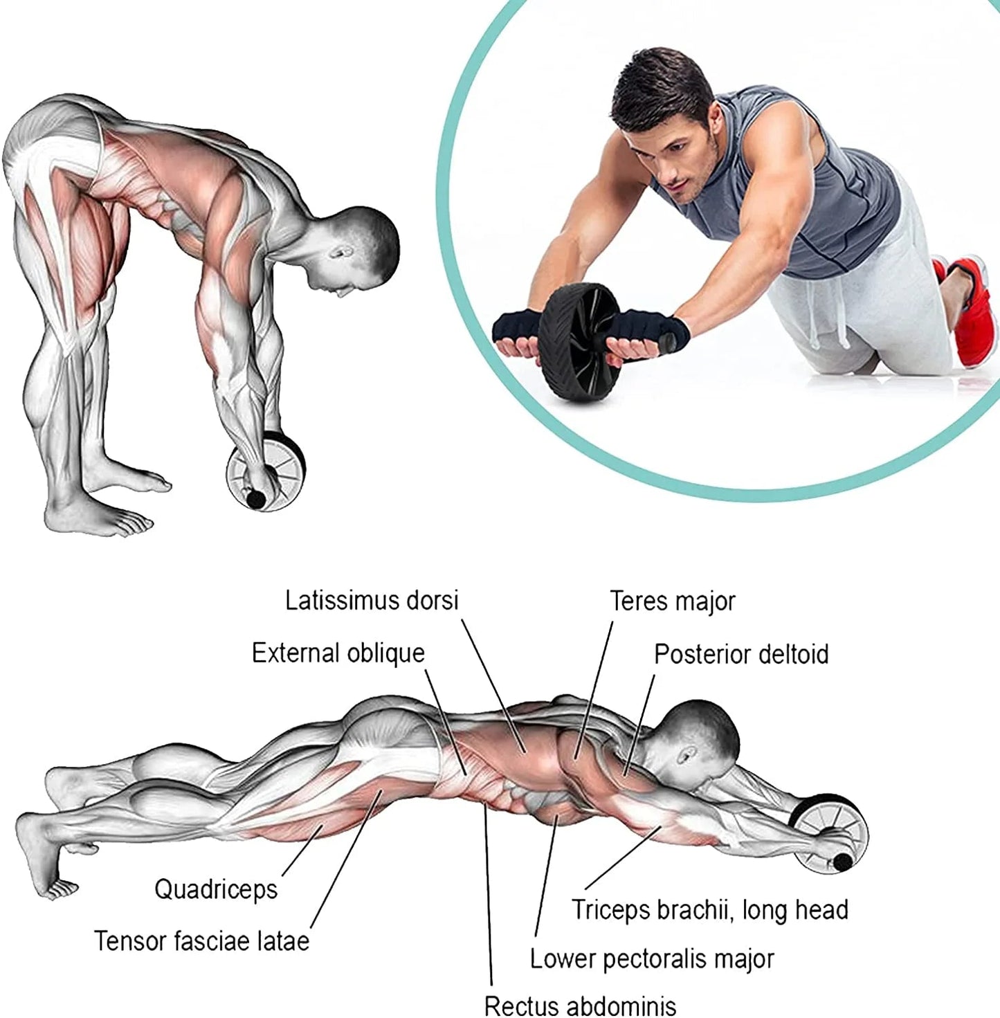 Non Slip Ab Roller Wheel - Recomp1