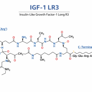 2D molecular structure of IGF-1 LR3 (Insulin-Like Growth Factor-1 Long R3) peptide showing modified amino acid sequence, extended N-terminal region, peptide bonds, and functional groups in a labeled skeletal chemical diagram for biochemical and peptide research.