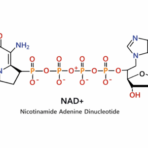 2D molecular structure of NAD+ (Nicotinamide Adenine Dinucleotide) showing the nicotinamide and adenine rings connected by a ribose-phosphate backbone with labeled atoms and functional groups in a detailed skeletal chemical diagram used for biochemical and metabolic research.